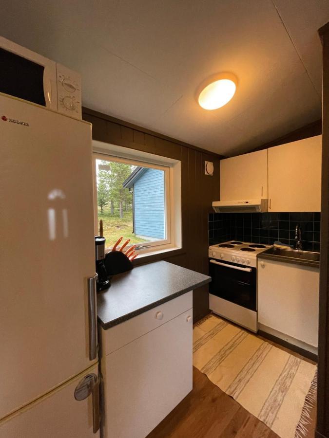 Lodge Skittenelv & Camping *