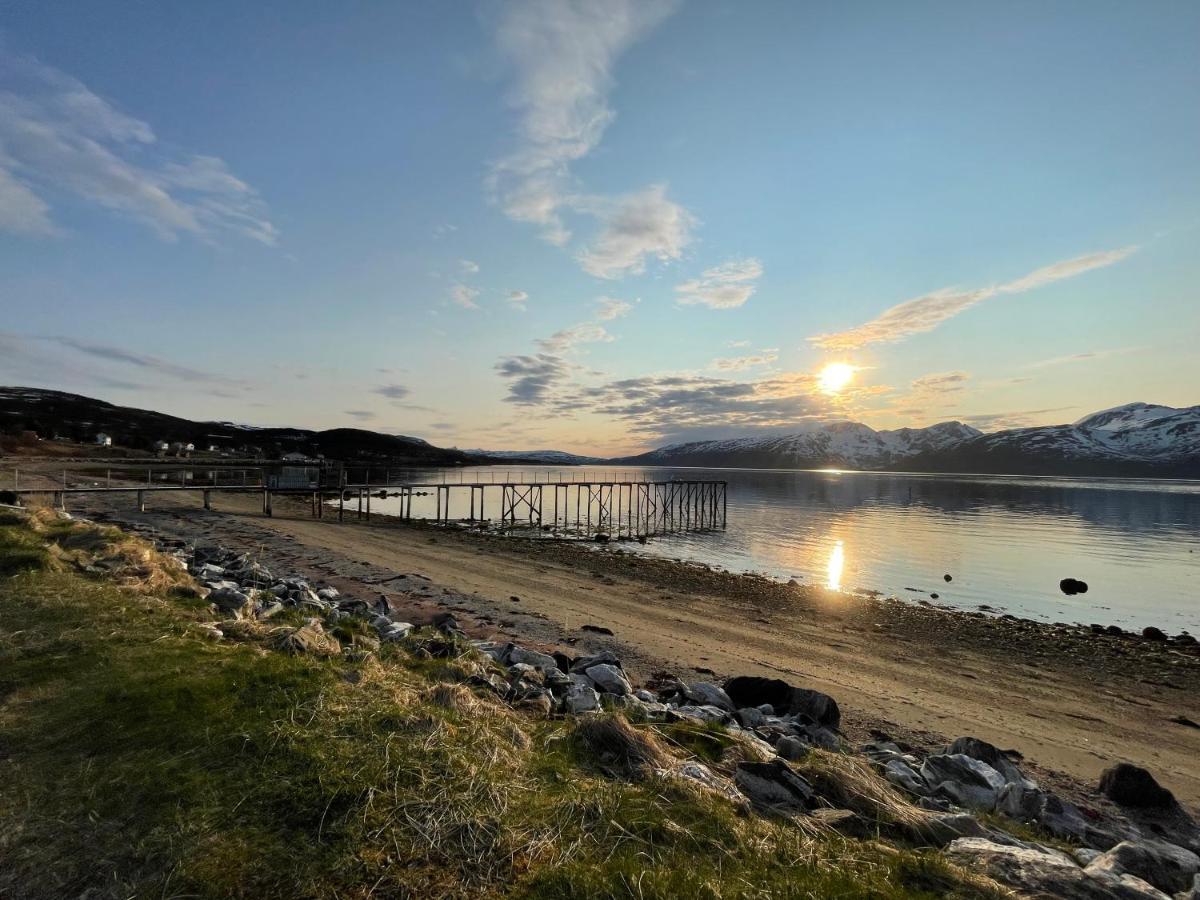 Skittenelv & Camping Lodge